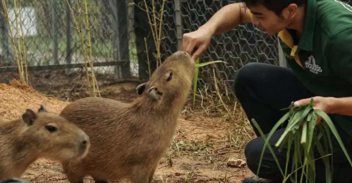 1720149666763 D0a26ea1d6b8827b72c8642bdfa9ebf6