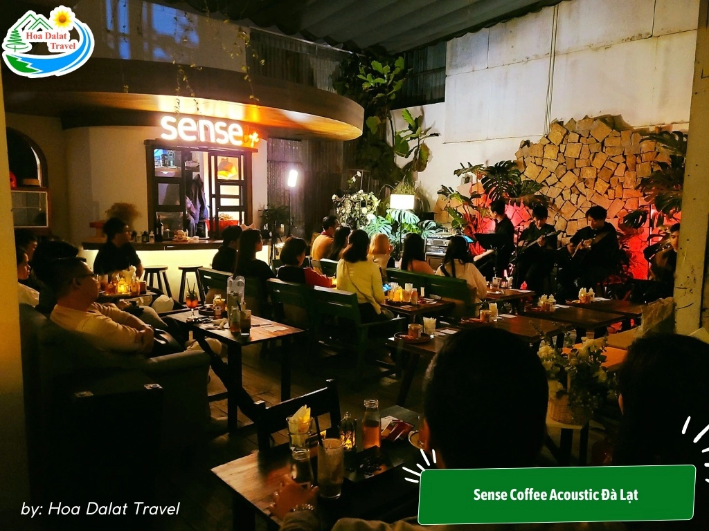 Dia Diem To Chuc Liveshow Da Lat 14