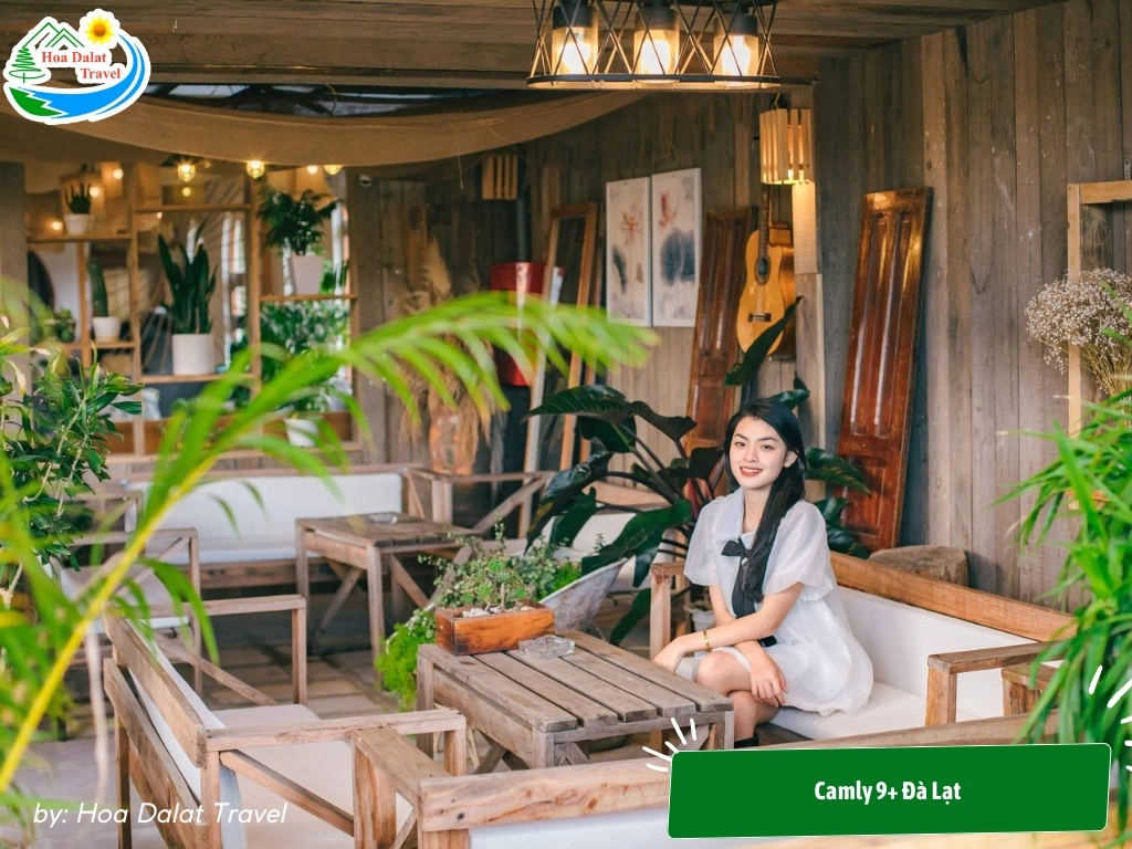 Dia Diem To Chuc Liveshow Da Lat 17