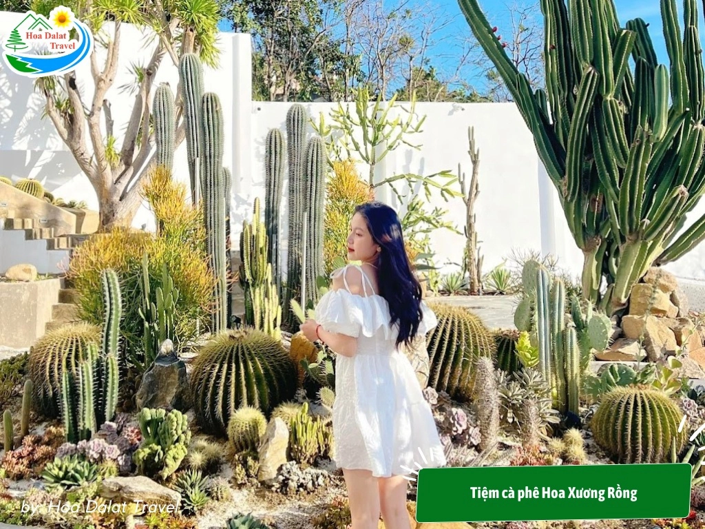 Dia Diem To Chuc Liveshow Da Lat 2