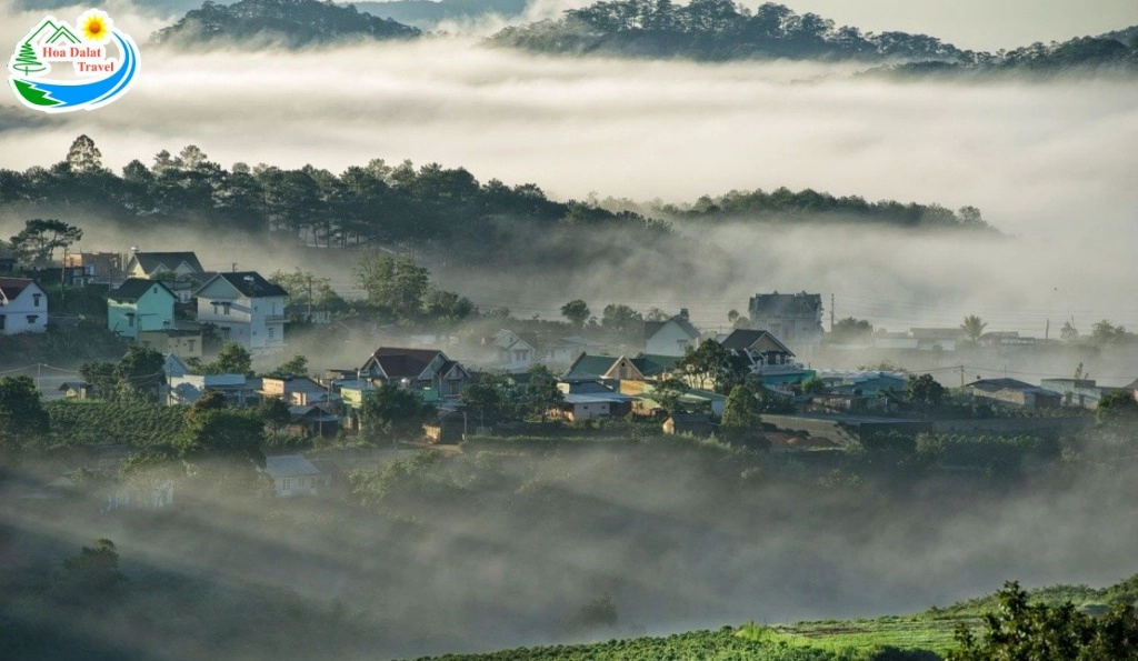 Festival Hoa Da Lat 33