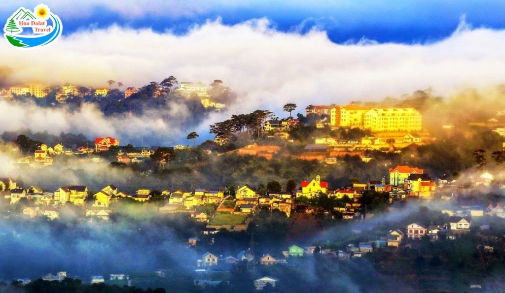 Festival Hoa Da Lat 34