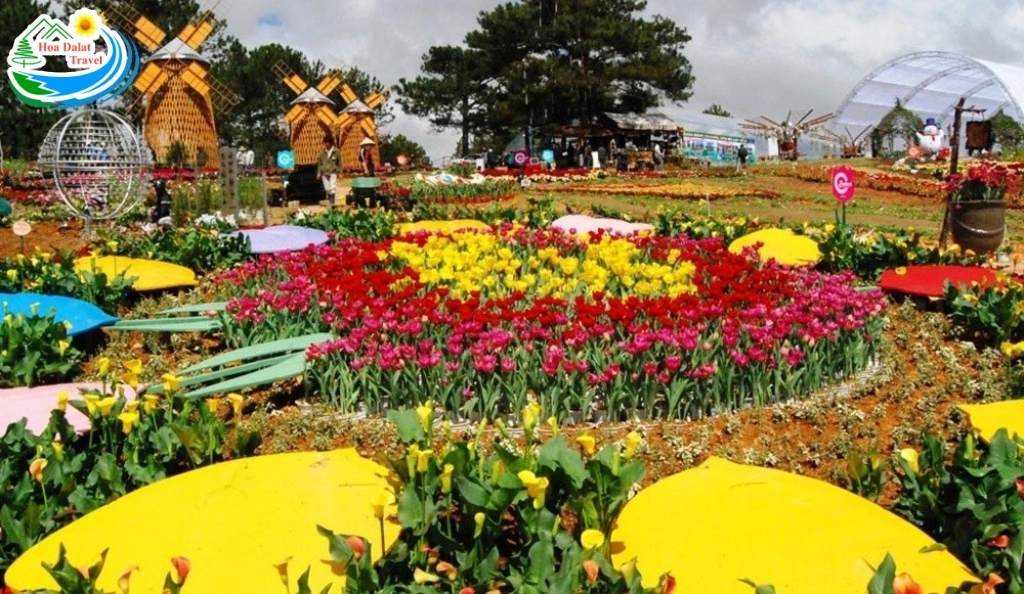 Festival Hoa Da Lat 4
