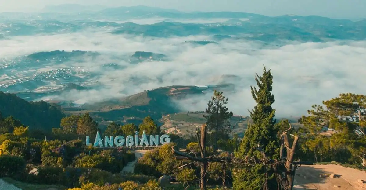 The Luxe Hotel Dalat 14